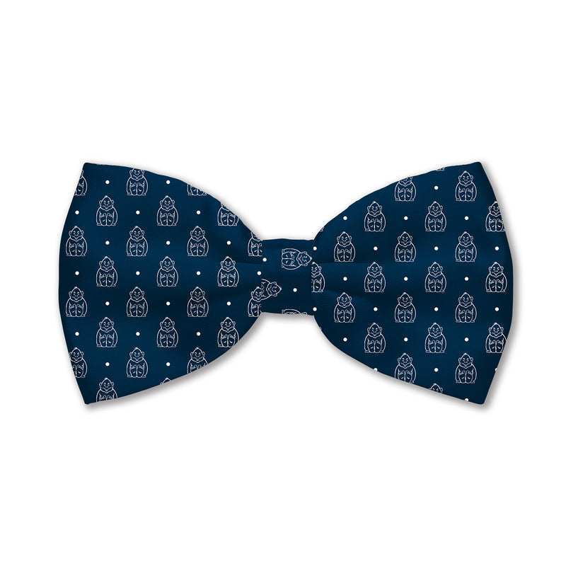 Load image into Gallery viewer, SLUH Silk Bow Tie
