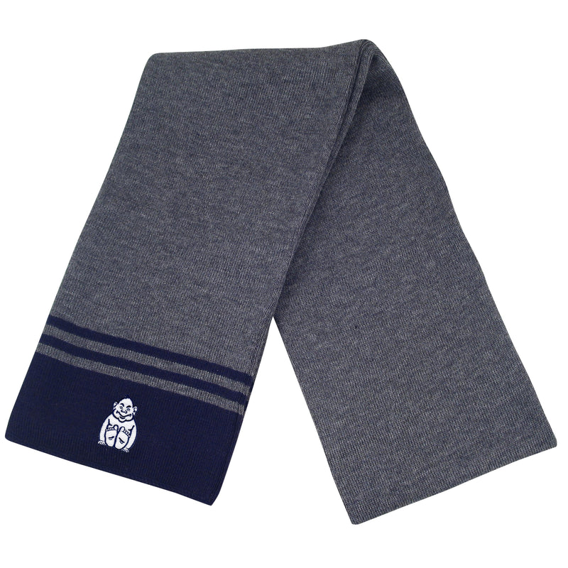 Load image into Gallery viewer, Logofit Varsity Stripe Scarf

