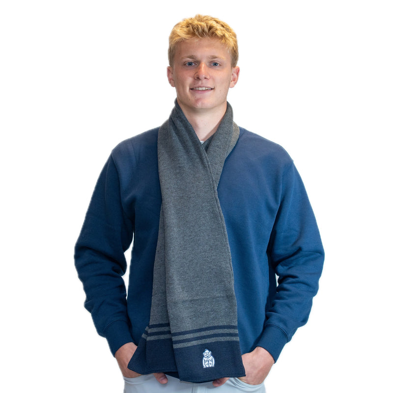 Load image into Gallery viewer, Logofit Varsity Stripe Scarf
