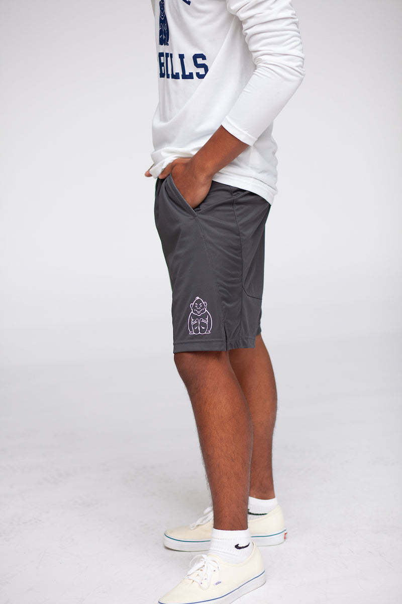 Load image into Gallery viewer, Nike 9&quot; Fly Short
